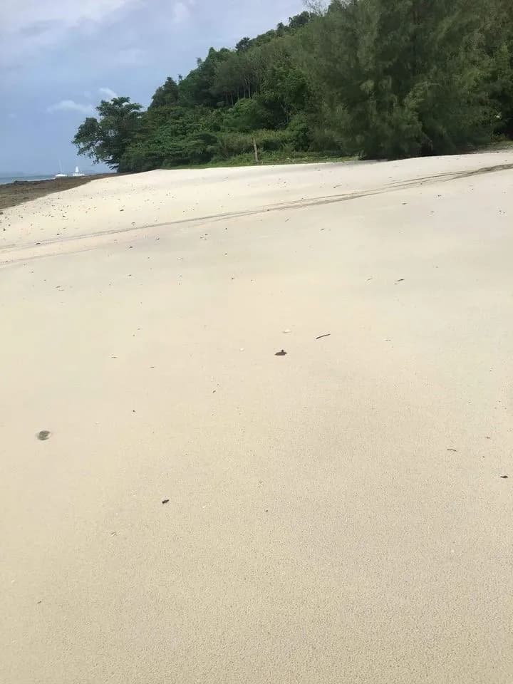 Terrain de 94 rais en bord de plage de sable à vendre sur l'île de Naka Yai, Phuket — Miniature 3