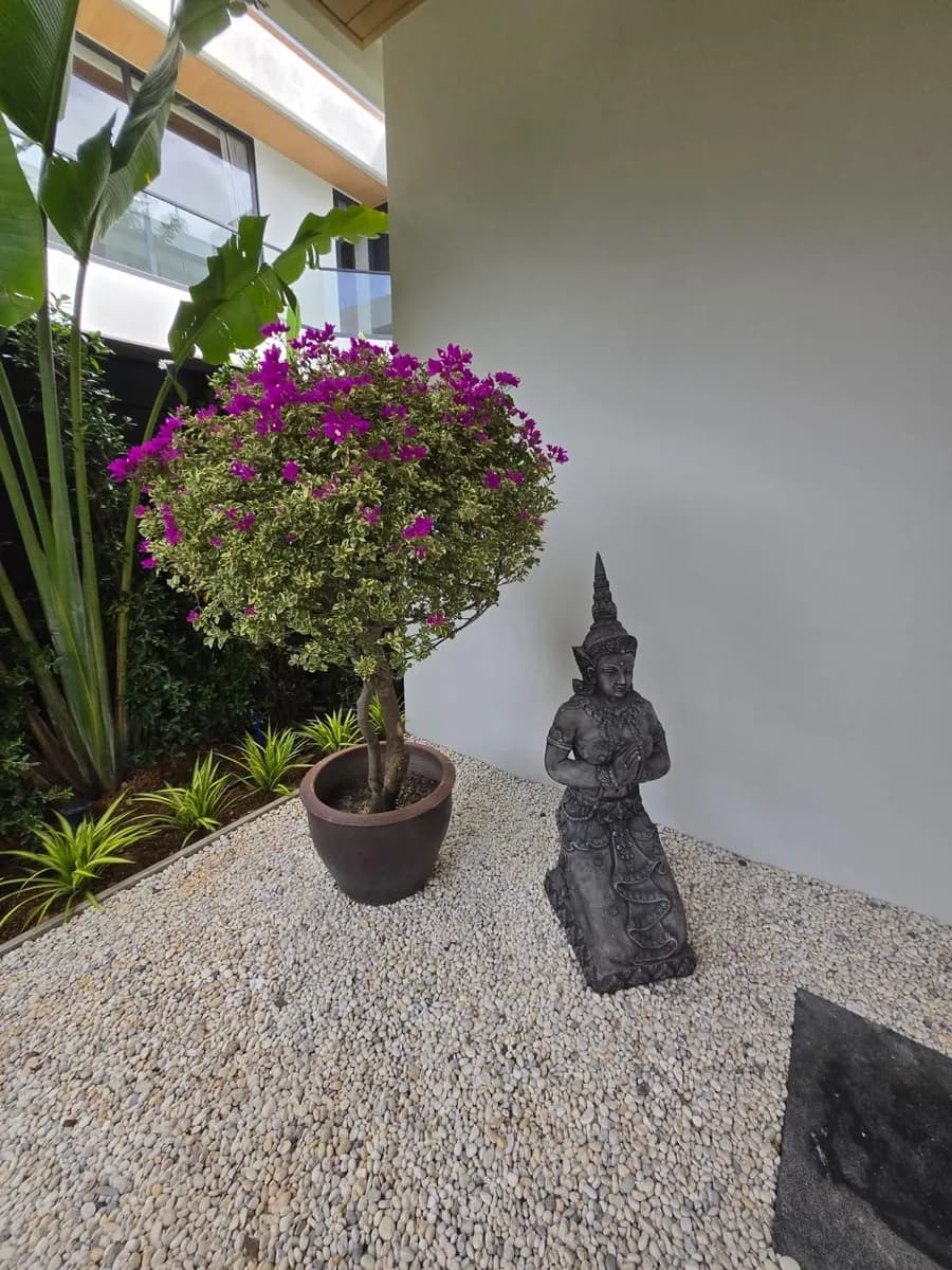 Villa moderne avec piscine 3 chambres à vendre près de Layan Beach – Phuket — Miniature 2