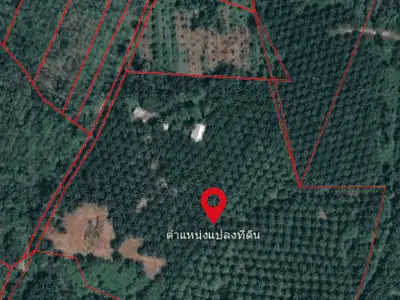 Terrain à vendre de 44 rais à Tai Muang, Phang Nga