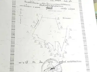 Terrain à vendre de 44 rais à Tai Muang, Phang Nga