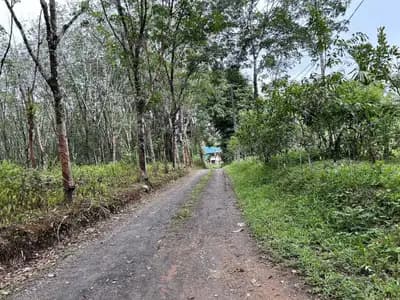 Terrain à vendre de 44 rais à Tai Muang, Phang Nga
