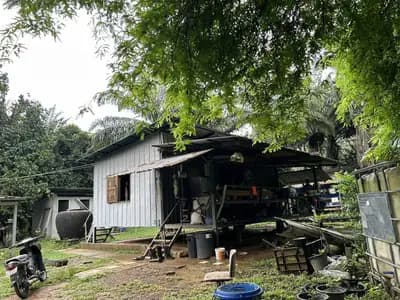 Terrain à vendre de 44 rais à Tai Muang, Phang Nga