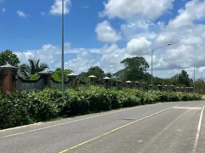 Terrain à vendre près du centre commercial Robinson Thalang