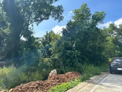 Terrain à vendre dans un emplacement de choix à Thalang