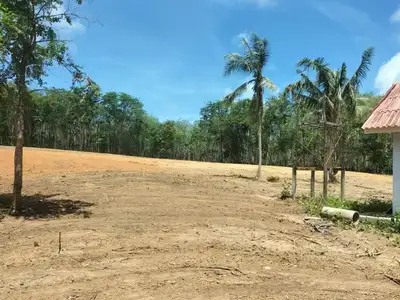Terrain de 7 rais à vendre, Mai Khao, Phuket