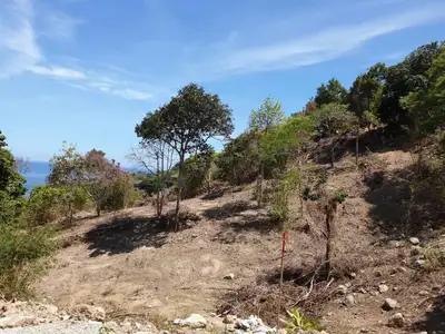 Terrain en bord de mer de 20 rais à vendre à Kamala
