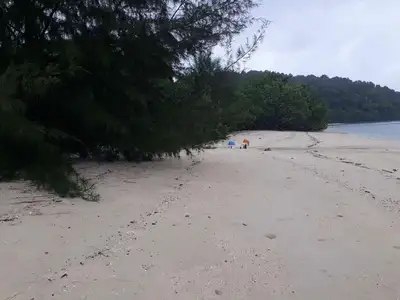 Terrain de 94 rais en bord de plage de sable à vendre sur l'île de Naka Yai, Phuket