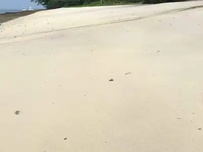 Terrain de 94 rais en bord de plage de sable à vendre sur l'île de Naka Yai, Phuket