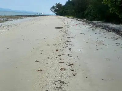 Terrain de 94 rais en bord de plage de sable à vendre sur l'île de Naka Yai, Phuket