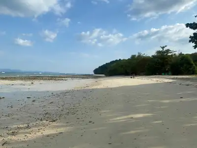 Terrain de 94 rais en bord de plage de sable à vendre sur l'île de Naka Yai, Phuket