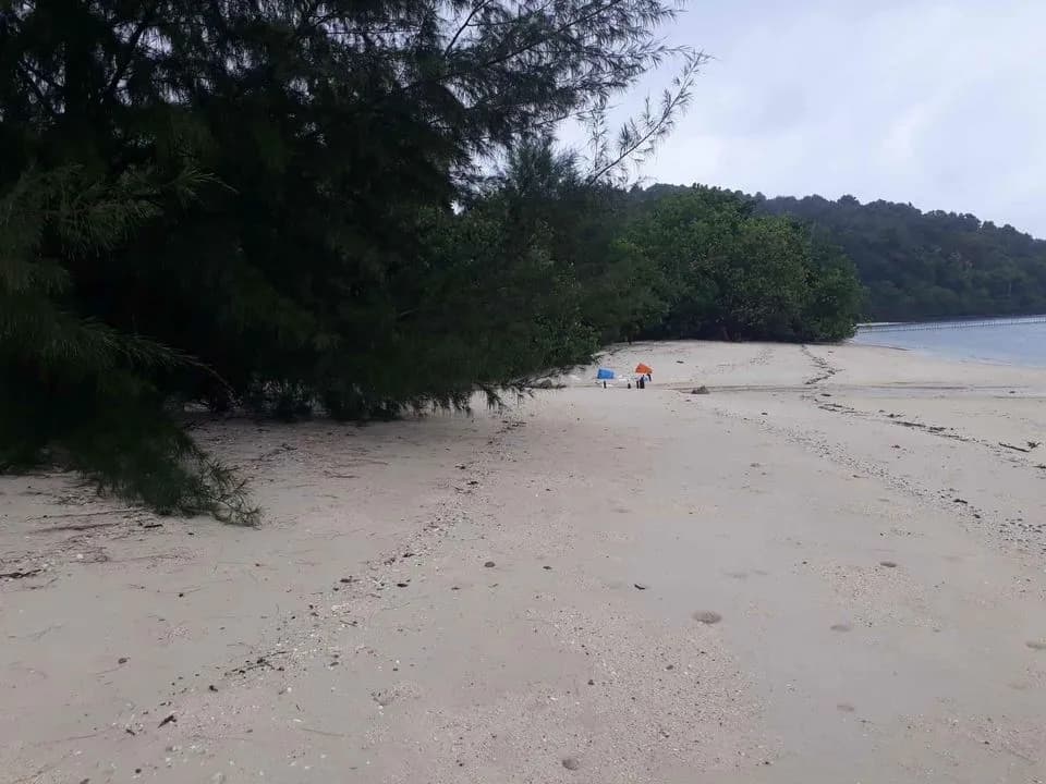 Terrain de 94 rais en bord de plage de sable à vendre sur l'île de Naka Yai, Phuket